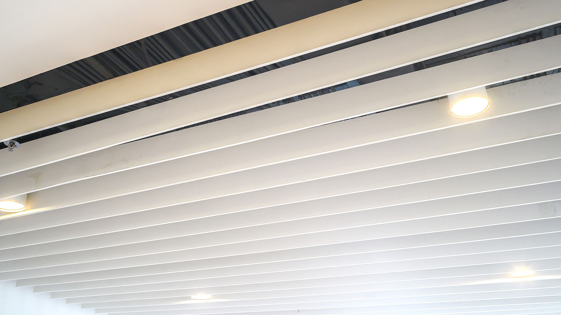 falsos techos de lama metalica