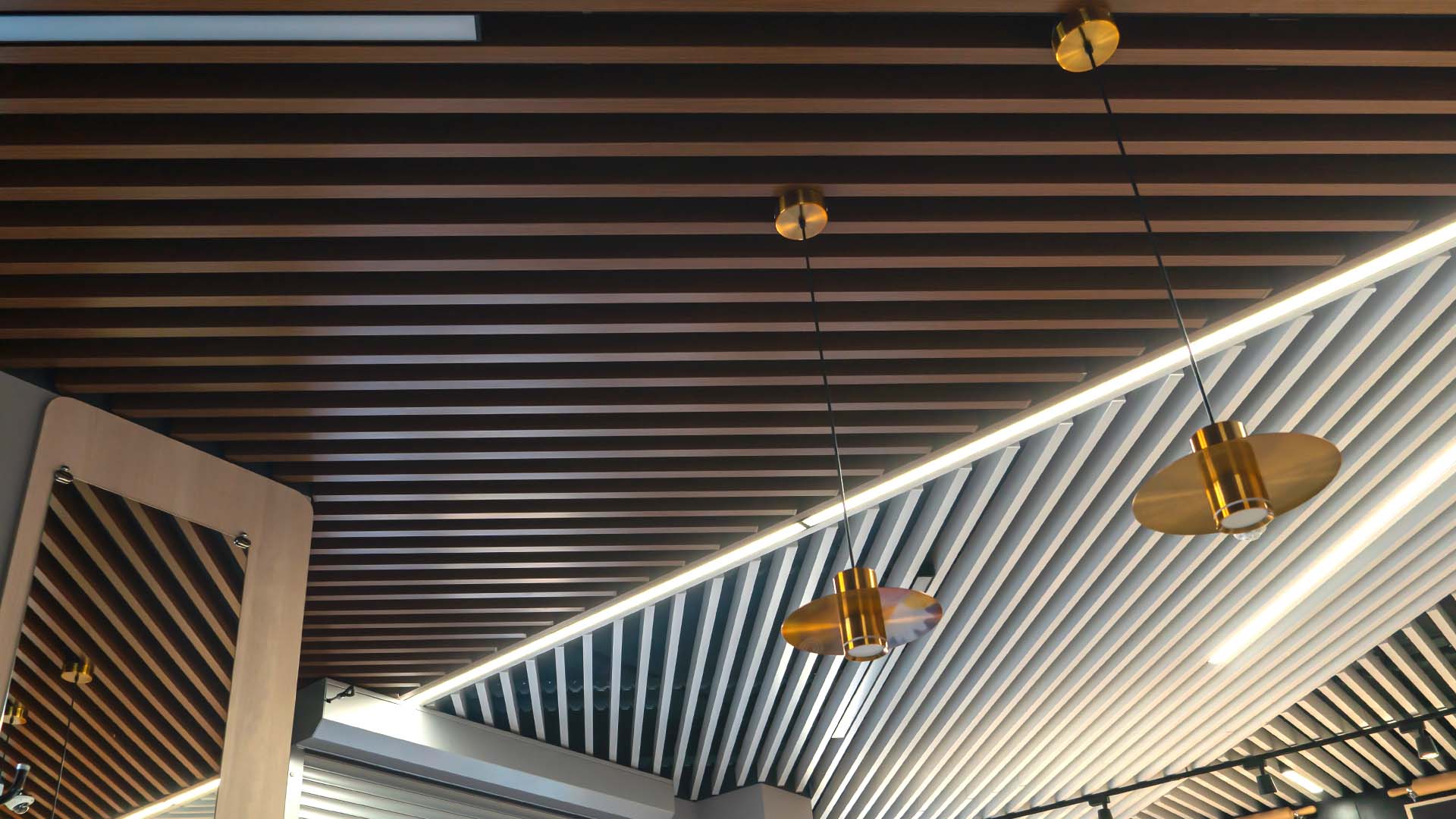 falsos techos de lama