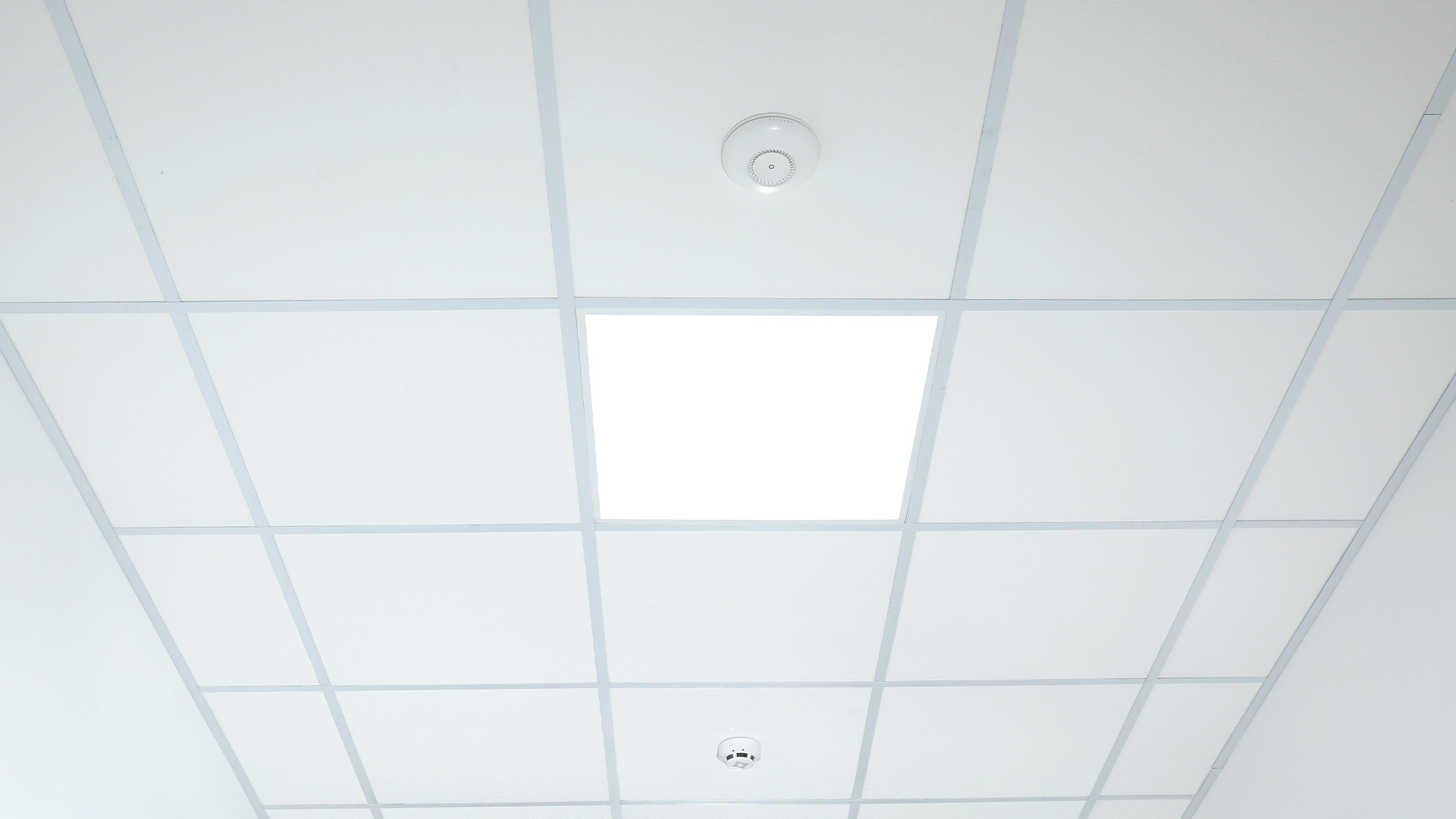 falsos techos registrables