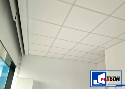 techo registrables acustico